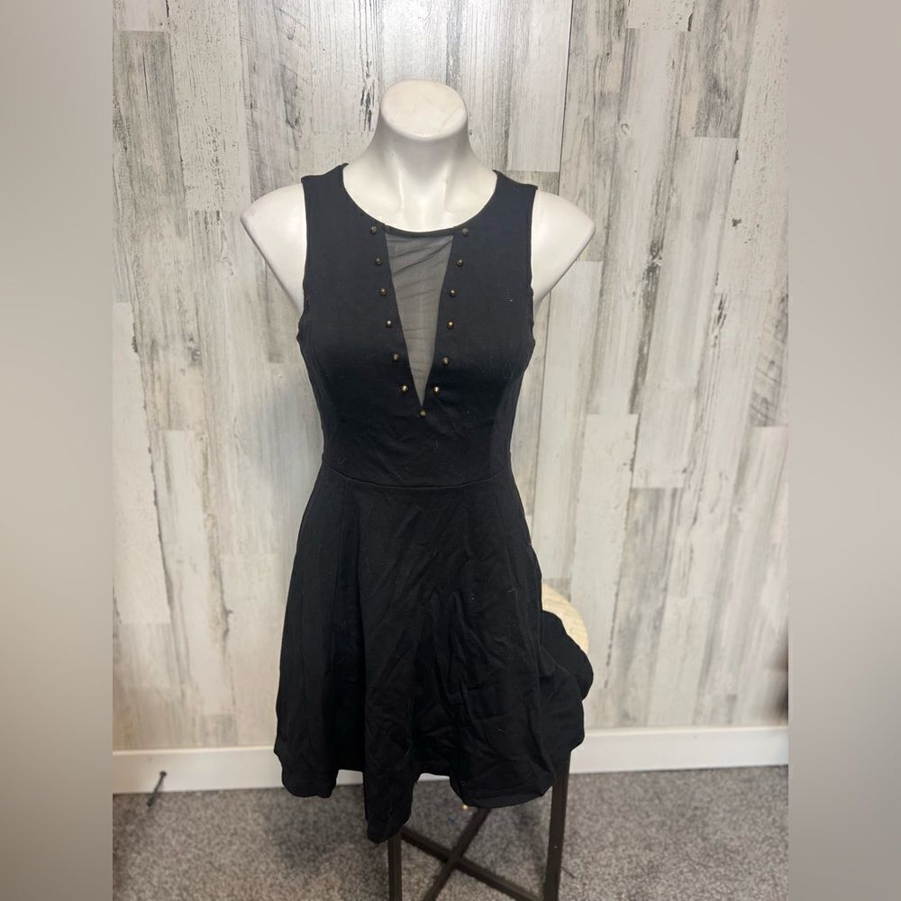 Express flare dress